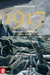 1917 Stridens skönhet och sorg : Första världskrigets fjärde ar