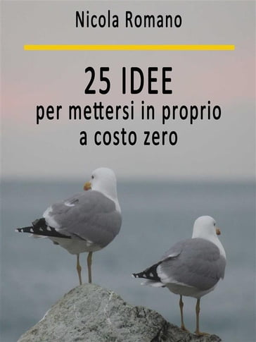 25 idee per mettersi in proprio a costo zero - Nicola Romano