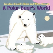 A Polar Bear s World