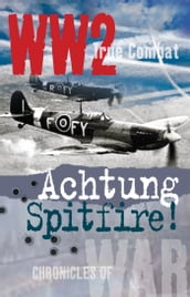 Achtung Spitfire! (True Combat)
