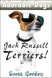 Adorable Dogs: Jack Russell Terriers