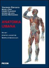 Anatomia umana. 2.