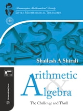 Arithmetic and Algebra: The Challenge and Thrill
