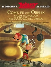 Asterix: Come fu che Obelix cadde da piccolo nel paiolo del druido
