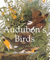 Audubon s Birds