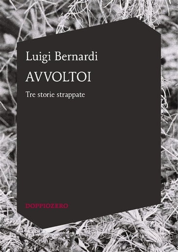 Avvoltoi - Luigi Bernardi