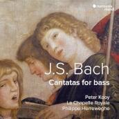 Bass cantatas