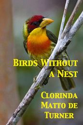 Birds Without a Nest