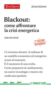Blackout: come affrontare la crisi energetica