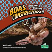 Boas constrictoras (Boa Constrictors)