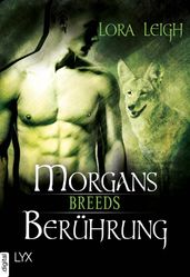 Breeds - Morgans Berührung