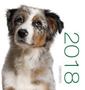 Cani. Calendario da muro 2018