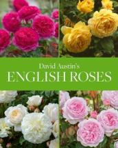 David Austin s English Roses