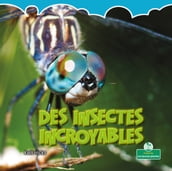 Des insectes incroyables (Incredible Insects)