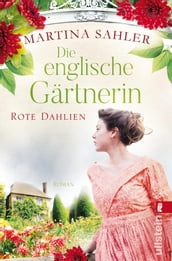 Die englische Gärtnerin Rote Dahlien