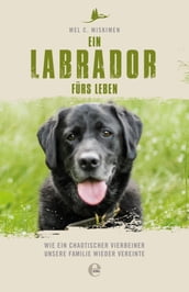 Ein Labrador fürs Leben