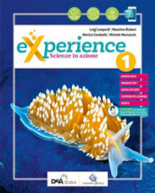 Experience. Per la Scuola media. Con e-book. Vol. 2