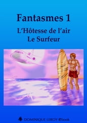Fantasmes 1, L Hôtesse de l air, Le Surfeur