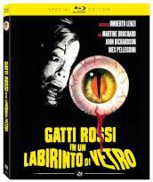 Gatti Rossi In Un Labirinto Di Vetro (Special Edition)