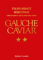Gauche Caviar. Come salvare il socialismo con ironia