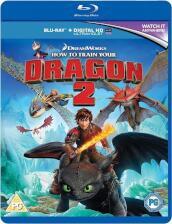 How To Train Your Dragon 2 [Edizione: Regno Unito]