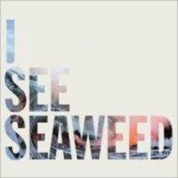 I see seaweed - The Drones