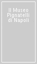 Il Museo Pignatelli di Napoli
