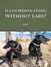 Is Life Worth Living Without Labs?