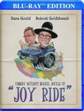 Joy Ride [Edizione: Stati Uniti]