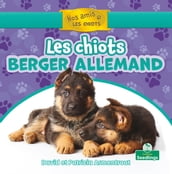 Les chiots berger allemand (German Shepherd Puppies)