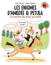 Les énigmes d Amédée et Pétula, Tome 04