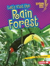 Let s Visit the Rain Forest