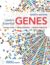 Lewin s Essential GENES