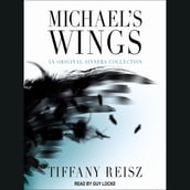 Michael s Wings