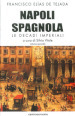 Napoli spagnola. 2: Le decadi imperiali (1503-1554)