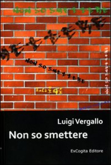 Non so smettere - Luigi Vergallo