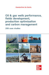 Oil & gas wells performance, fields development, production optimization and carbon management. 200 CASE STUDIES