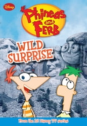 Phineas and Ferb: Wild Surprise