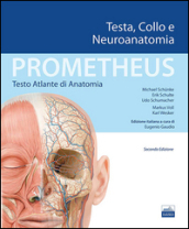 Prometheus. Atlante di anatomia. Testa, collo e neuroanatomia