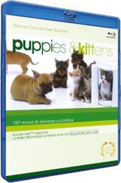 Puppies & Kittens (Special Collector s Edition)
