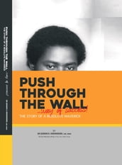 Push Through The Wall; Way of Success (The Story of a Resolute Maverick)