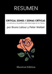 RESUMEN - Critical Zones / Zonas críticas:
