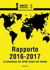 Rapporto 2016-2017