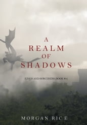 A Realm of Shadows (Kings and SorcerersBook #5)
