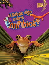 Sabes algo sobre anfibios? (Do You Know about Amphibians?)