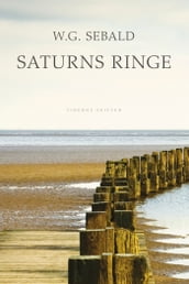 Saturns ringe