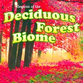 Seasons Of The Deciduous Forest Biome