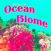 Seasons Of The Ocean Biome