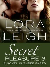 Secret Pleasure: Part 3