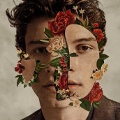 Shawn mendes (16 brani deluxe edt.)